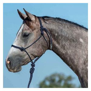 Rope Horse Halter with Lead  Classic Equine